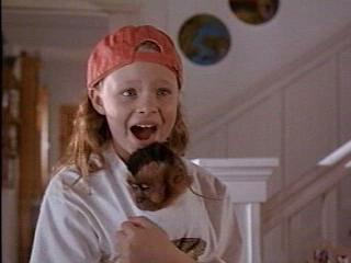 ��������� ������������